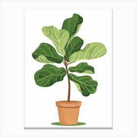 Fig Tree In Pot 1 Canvas Print