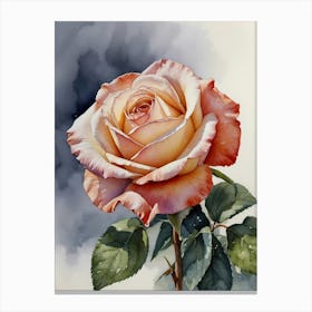 Rose Watercolor Painting Canvas Print