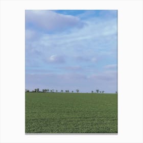 windows view Canvas Print