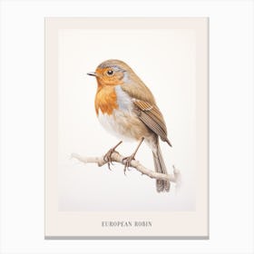 Vintage Bird Drawing European Robin 1 Poster Canvas Print
