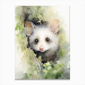 Light Watercolor Painting Of A Hidden Possum 2 Canvas Print