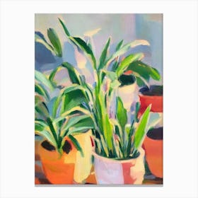 Aspidistra Impressionist Painting Plant Canvas Print