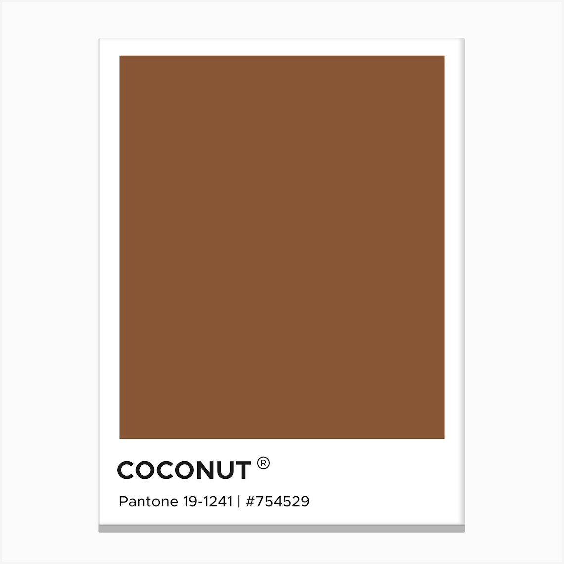 Coconut Pantone, cool, cute, calm, brown, pantone, swatch, colorful, aesthetic, minimal, modern, summers, kitchen, food, vibes, coconut, decor,