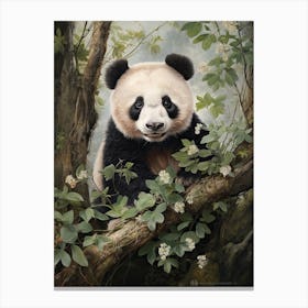 Panda Art In Realism Style 3 Canvas Print