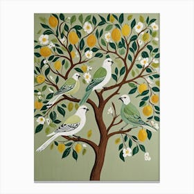 Birds In A Lemon Tree Canvas Print