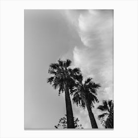Palms And Clouds Canvas Print
