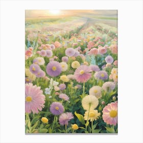 Field Of Daisies Canvas Print