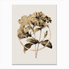 Gold Ring Lychnis Grandiflora Glitter Botanical Illustration Canvas Print
