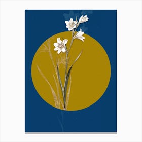 Vintage Botanical Painted Lady on Circle Yellow on Blue n.0109 Canvas Print