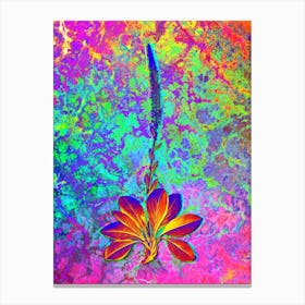 Blazing Star Botanical in Acid Neon Pink Green and Blue n.0311 Canvas Print
