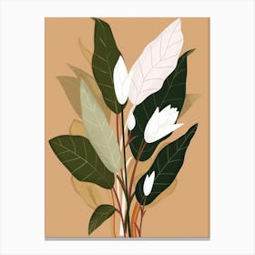 Magnolia 21 Canvas Print