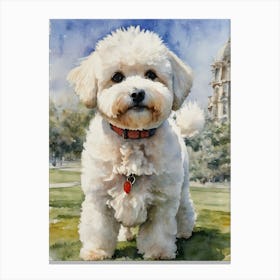 Bichon Frise Canvas Print