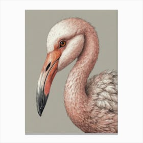 Flamingo 23 Canvas Print