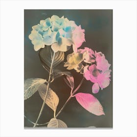 Iridescent Flower Hydrangea 2 Canvas Print