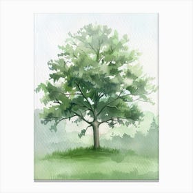 Sycamore Tree Atmospheric Watercolour Painting 2 Canvas Print