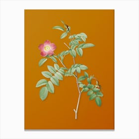 Vintage Pink Alpine Rose Botanical on Sunset Orange n.0726 Canvas Print