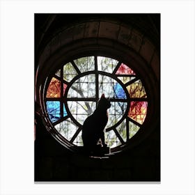 Cat In Stained Glass Window 15 Canvas Print