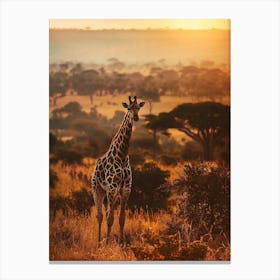 Giraffe At Sunset 2 Canvas Print