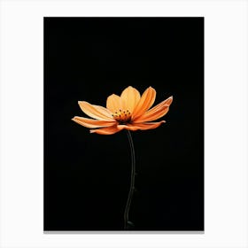 Single Orange Flower On Black Background 1 Canvas Print