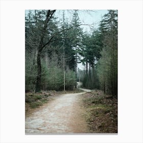 Winter Forest // The Netherlands // Nature Photography  Canvas Print