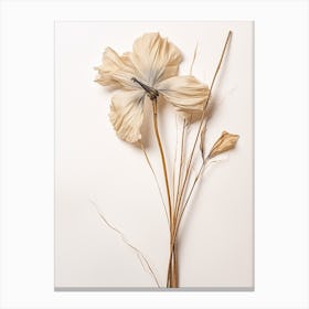 Pressed Flower Botanical Art Flax Flower 3 Canvas Print