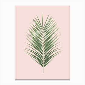 Blush Palm Leaf Canvas Print