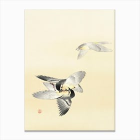 Two Fighting Birds (1900 1936), Ohara Koson Canvas Print