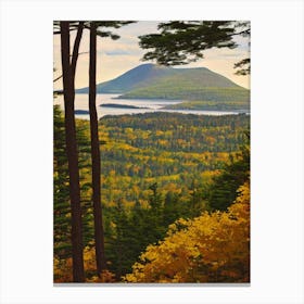 Acadia National Park United States Of America Vintage Poster Canvas Print