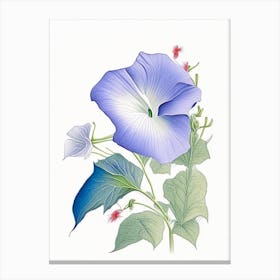 Morning Glory Floral Quentin Blake Inspired Illustration 1 Flower Canvas Print