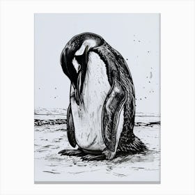 Emperor Penguin Preening Their Feathers 1 Canvas Print