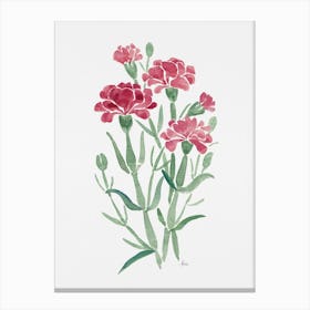 Carnations In Gouache Canvas Print