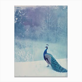 Vintage Peacock Snow Scene Blue 3 Canvas Print