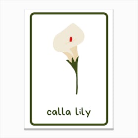Calla Lily Flower Canvas Print