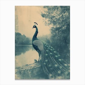 Vintage Peacock By The Lake Cyanotype Inspired 2 Canvas Print