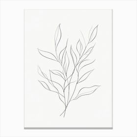 Eucalyptus 4 Canvas Print