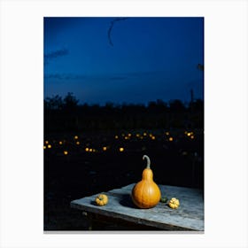 A Gourd Carefully Resting On A Weathered Wooden Table Settingfootprint In The Cement Market Under Canvas Print