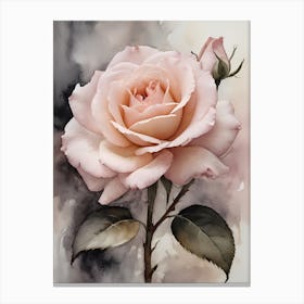 Vintage Muted Blush Pink Roses Painting (5) Canvas Print