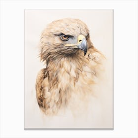 Vintage Bird Drawing Eagle 3 Canvas Print