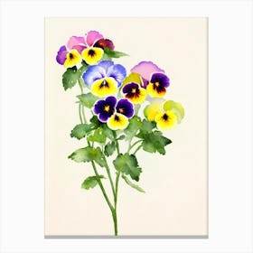 Pansy Vintage Flowers Flower Canvas Print