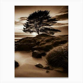 Lone Tree 29 Canvas Print