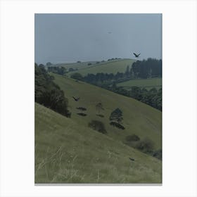 Crows On A Hill Canvas Print