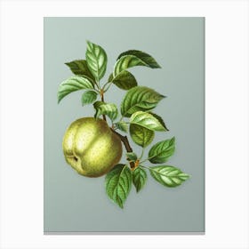Vintage Apple Botanical Art on Mint Green n.0941 Canvas Print