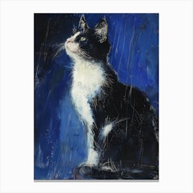 Black And White Cat 2 Canvas Print