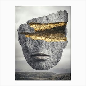 Face Of A Rock Canvas Print