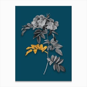 Vintage Shining Rosa Lucida Black and White Gold Leaf Floral Art on Teal Blue n.0901 Canvas Print