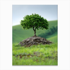 Lone Tree On A Hill Canvas Print