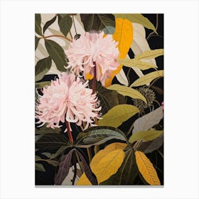 Flower Illustration Bergamot 4 Canvas Print