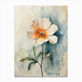 Peony 12 Canvas Print