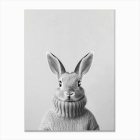 Hase mit Wollpulli Schwarz-Weiß Foto, minimalistisches Kaninchen Porträt Canvas Print