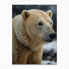 Polar Bear 4 Canvas Print